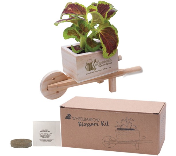 Wooden Wheel Barrow Blossom Kit