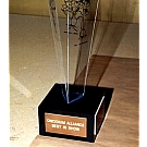 Custom Lexan trophy