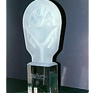Csulpted Acrylic trophy
